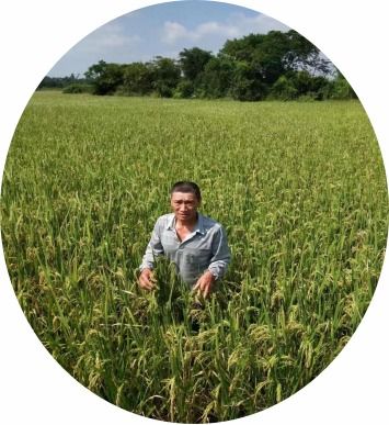 心系農(nóng)本 記錄?？谵r(nóng)本調(diào)查戶的點(diǎn)滴